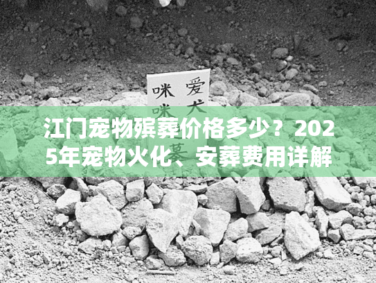 江门宠物殡葬价格多少？2025年宠物火化、安葬费用详解