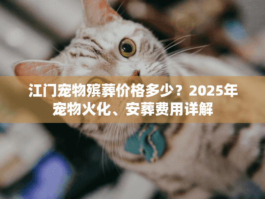 江门宠物殡葬价格多少？2025年宠物火化、安葬费用详解
