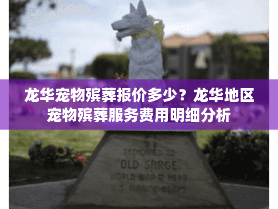 龙华宠物殡葬报价多少？龙华地区宠物殡葬服务费用明细分析