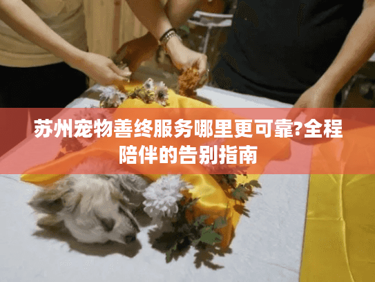 苏州宠物善终服务哪里更可靠?全程陪伴的告别指南
