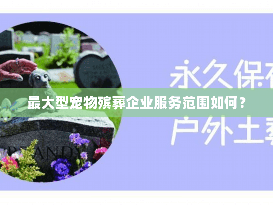 最大型宠物殡葬企业服务范围如何？