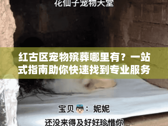 红古区宠物殡葬哪里有？一站式指南助你快速找到专业服务