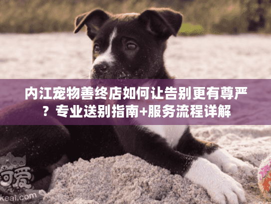 内江宠物善终店如何让告别更有尊严？专业送别指南+服务流程详解