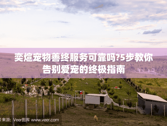 奕煊宠物善终服务可靠吗?5步教你告别爱宠的终极指南