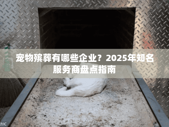 宠物殡葬有哪些企业？2025年知名服务商盘点指南
