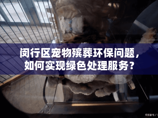 闵行区宠物殡葬环保问题，如何实现绿色处理服务？