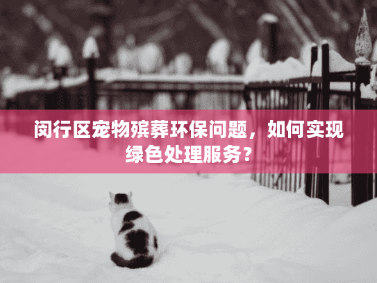 闵行区宠物殡葬环保问题，如何实现绿色处理服务？
