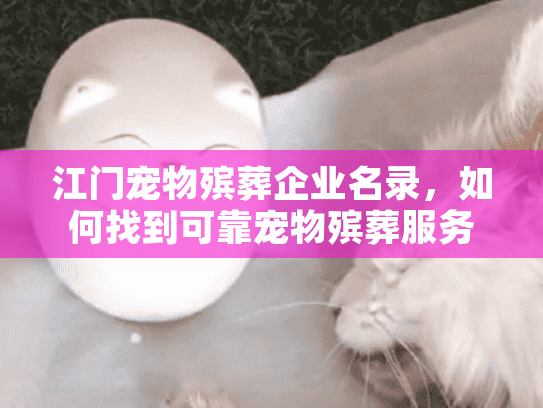 江门宠物殡葬企业名录，如何找到可靠宠物殡葬服务？