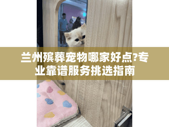 兰州殡葬宠物哪家好点?专业靠谱服务挑选指南