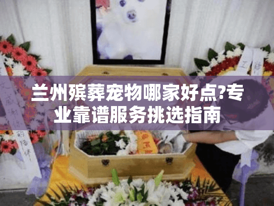 兰州殡葬宠物哪家好点?专业靠谱服务挑选指南