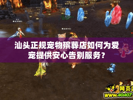 汕头正规宠物殡葬店如何为爱宠提供安心告别服务？