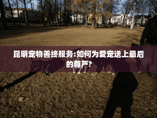 昆明宠物善终服务:如何为爱宠送上最后的尊严?
