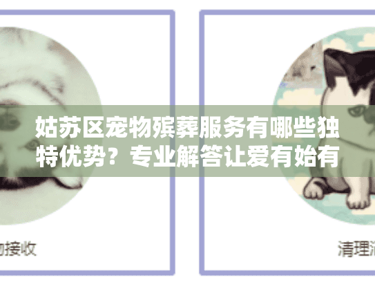 姑苏区宠物殡葬服务有哪些独特优势？专业解答让爱有始有终