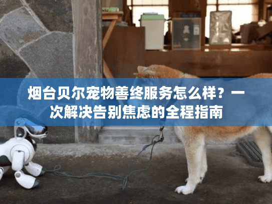 烟台贝尔宠物善终服务怎么样？一次解决告别焦虑的全程指南