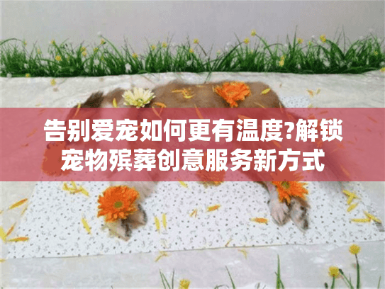 告别爱宠如何更有温度?解锁宠物殡葬创意服务新方式