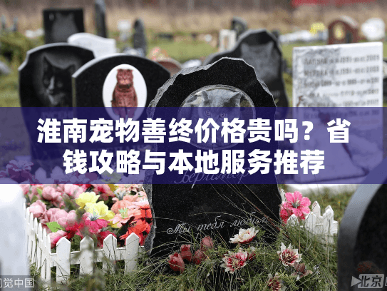 淮南宠物善终价格贵吗？省钱攻略与本地服务推荐