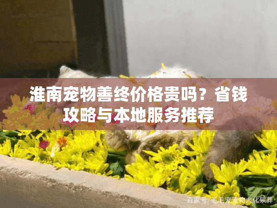 淮南宠物善终价格贵吗？省钱攻略与本地服务推荐