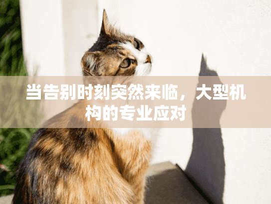当告别时刻突然来临，大型机构的专业应对