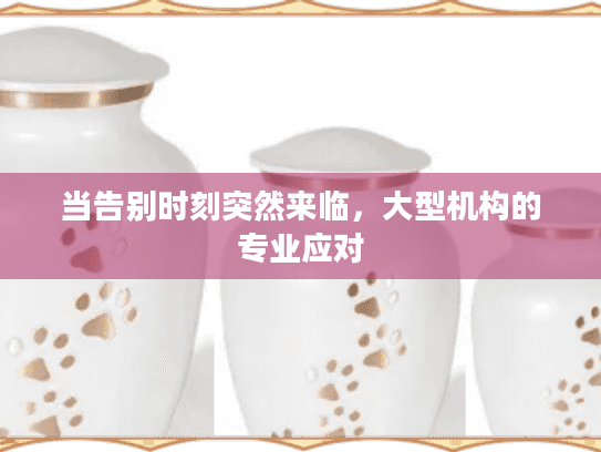 当告别时刻突然来临，大型机构的专业应对