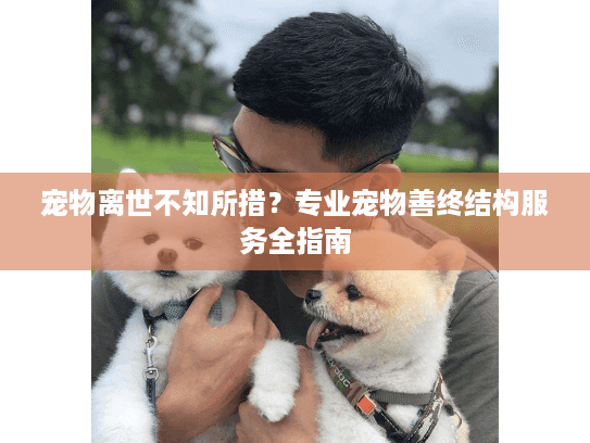宠物离世不知所措？专业宠物善终结构服务全指南