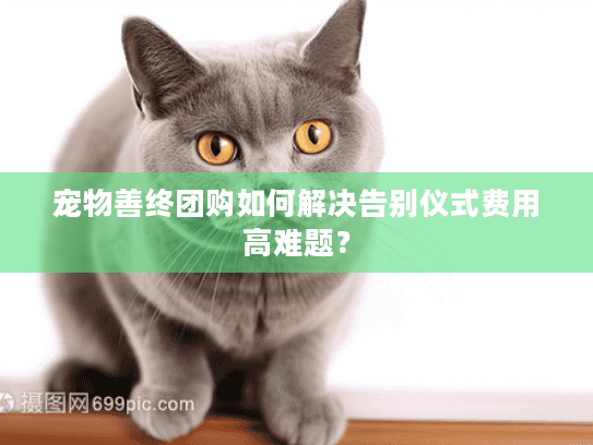 宠物善终团购如何解决告别仪式费用高难题？