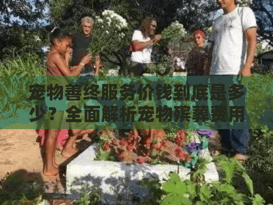 宠物善终服务价钱到底是多少？全面解析宠物殡葬费用指南