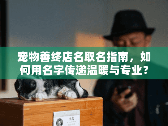 宠物善终店名取名指南，如何用名字传递温暖与专业？