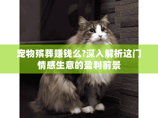 宠物殡葬赚钱么?深入解析这门情感生意的盈利前景