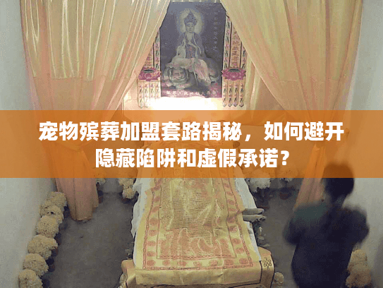 宠物殡葬加盟套路揭秘，如何避开隐藏陷阱和虚假承诺？