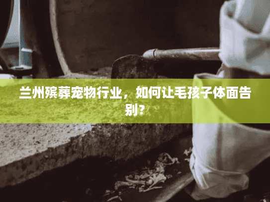 兰州殡葬宠物行业，如何让毛孩子体面告别？