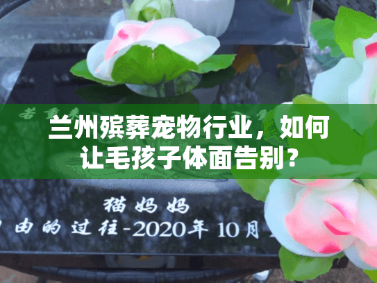 兰州殡葬宠物行业，如何让毛孩子体面告别？
