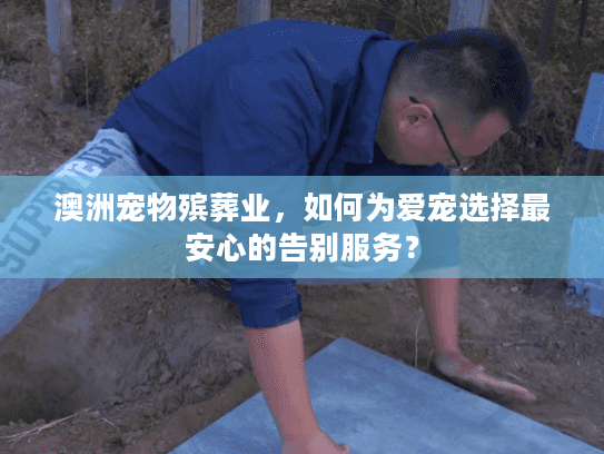 澳洲宠物殡葬业，如何为爱宠选择最安心的告别服务？