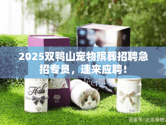 2025双鸭山宠物殡葬招聘急招专员，速来应聘！