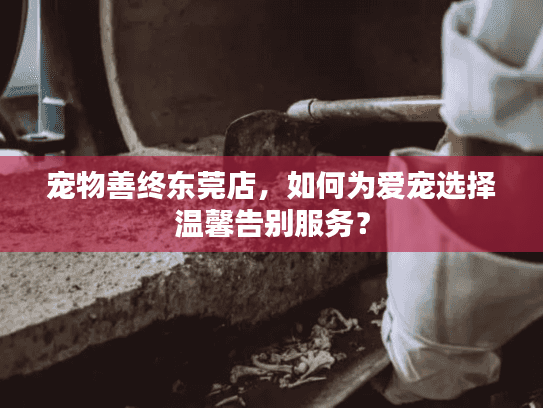 宠物善终东莞店，如何为爱宠选择温馨告别服务？