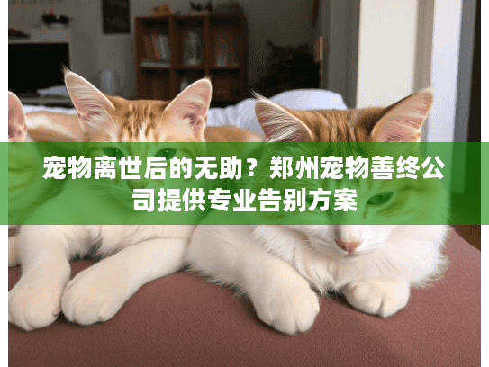 宠物离世后的无助？郑州宠物善终公司提供专业告别方案