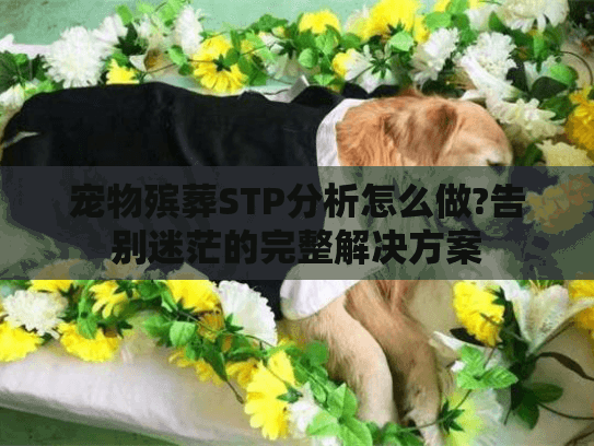 宠物殡葬STP分析怎么做?告别迷茫的完整解决方案