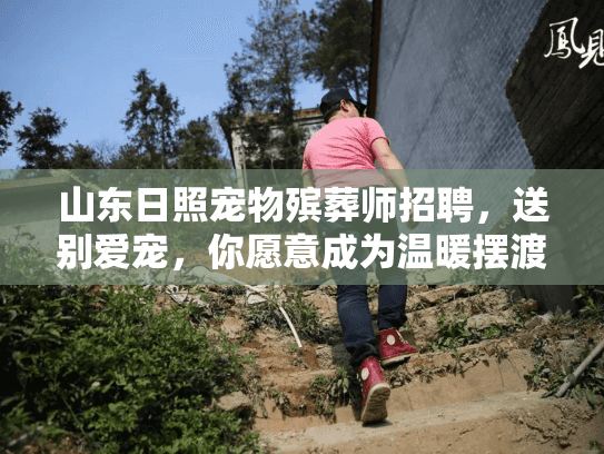 山东日照宠物殡葬师招聘，送别爱宠，你愿意成为温暖摆渡人吗？