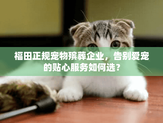 福田正规宠物殡葬企业，告别爱宠的贴心服务如何选？
