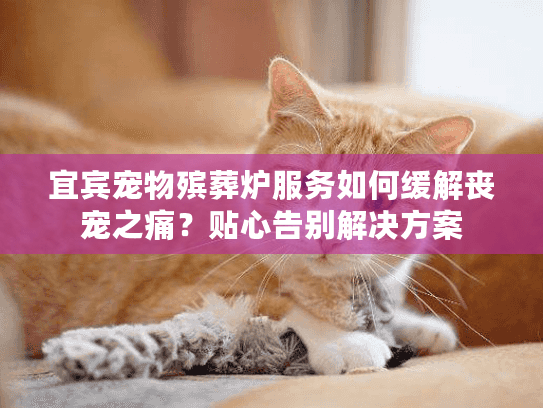 宜宾宠物殡葬炉服务如何缓解丧宠之痛？贴心告别解决方案