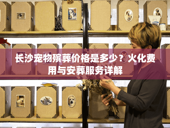 长沙宠物殡葬价格是多少？火化费用与安葬服务详解