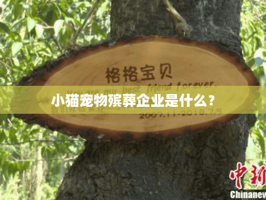 小猫宠物殡葬企业是什么？