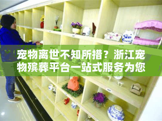 宠物离世不知所措？浙江宠物殡葬平台一站式服务为您解忧