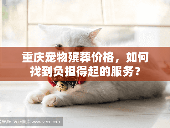 重庆宠物殡葬价格，如何找到负担得起的服务？