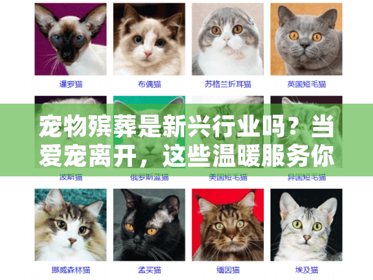 宠物殡葬是新兴行业吗？当爱宠离开，这些温暖服务你了解多少？