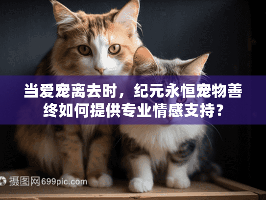 当爱宠离去时，纪元永恒宠物善终如何提供专业情感支持？