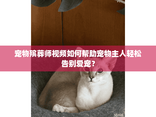 宠物殡葬师视频如何帮助宠物主人轻松告别爱宠？