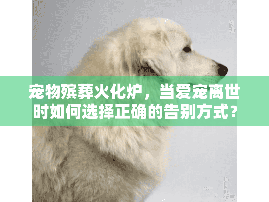 宠物殡葬火化炉，当爱宠离世时如何选择正确的告别方式？