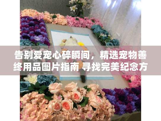 告别爱宠心碎瞬间，精选宠物善终用品图片指南 寻找完美纪念方案