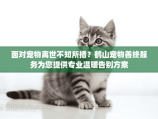 面对宠物离世不知所措？鹤山宠物善终服务为您提供专业温暖告别方案