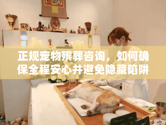 正规宠物殡葬咨询，如何确保全程安心并避免隐藏陷阱？